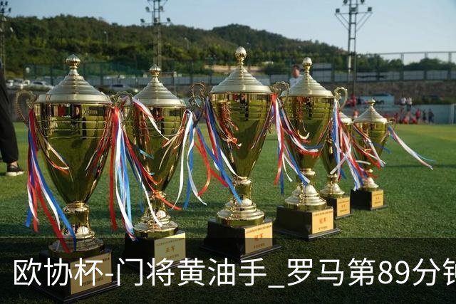 欧协杯-门将黄油手 罗马第89分钟遭绝杀1-2客负
